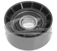 3RG INDUSTRIAL - Rodillo Tensor- OEM 9198527 7700102931 8200104754 - Piezas para Coche Recambios Motor y Otras Partes de Vehículo | Compatible con los Modelos de Coche y Moto indicados más Abajo.