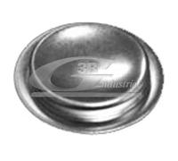 3RG INDUSTRIAL - Tapon Bloque Motor- OEM 55182787 - Piezas para Coche Recambios Motor y Otras Partes de Vehículo | Compatible con los Modelos de Coche y Moto indicados más Abajo.