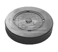 3RG INDUSTRIAL - Tapon Bloque Motor- OEM 7700106271 7700106383 4410493 93160234 - Piezas para Coche Recambios Motor y Otras Partes de Vehículo.