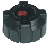 3RG INDUSTRIAL - Tapon Deposito Refrigerante- OEM 46556737 46402982 46556739 - Piezas para Coche Recambios Motor y Otras Partes de Vehículo.