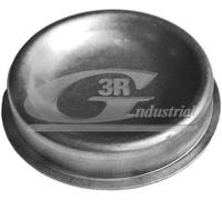 3RG INDUSTRIAL - Tapon Tambor Trasero- OEM 374019 - Piezas para Coche Recambios Motor y Otras Partes de Vehículo | Compatible con los Modelos de Coche y Moto indicados más Abajo.