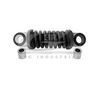 3RG INDUSTRIAL - Tensor Alternador- OEM 575181 9623659880 4917166G00 - Piezas para Coche Recambios Motor y Otras Partes de Vehículo | Compatible con los Modelos de Coche y Moto indicados más Abajo.