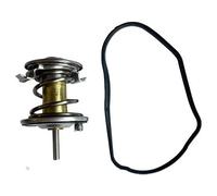 3RG INDUSTRIAL - Termostato Con Junta- OEM 11517805811P - Piezas para Coche Recambios Motor y Otras Partes de Vehículo | Compatible con los Modelos de Coche y Moto indicados más Abajo.