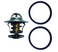 3RG INDUSTRIAL - Termostato Con Junta- OEM 44121113 - Piezas para Coche Recambios Motor y Otras Partes de Vehículo | Compatible con los Modelos de Coche y Moto indicados más Abajo.