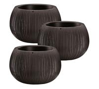 3x prosperplast beton bowl de plástico con depósito en color cemento negro, 11 (alto) x 14,4 (ancho) x 14,4 (profundo) cms