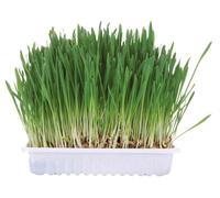 3x Trixie heno para pequeños animales 3 x 100 g