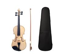 4/4 Conjunto De Violín Acústico Basswood W/Brazilwood Bow/Canvas Case Estudiante Involin Principiante Violín