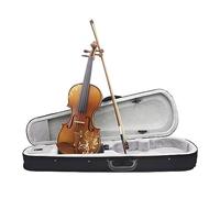 4/4 Violín Acústico Sólido Tallado Madera Violino Basswood Violín Kits Con Estuche Arco Principiantes Instrumento Accesorios (Color : Set 2)