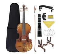4/4 Violín Acústico Sólido Tallado Madera Violino Basswood Violín Kits Con Estuche Arco Principiantes Instrumento Accesorios (Color : Set 1)