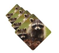 4 ambientadores colgantes para coche, tarjetas aromáticas de fragancia, tabletas cuadradas de aromaterapia, ambientador de mapache para coche, espejo interior, colgante, regalos