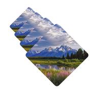 4 ambientadores colgantes para coche, tarjetas aromáticas de fragancia, tabletas cuadradas de aromaterapia para coche, parque nacional, ambientador de coche para el interior del coche, colgante de