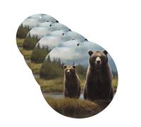 4 ambientadores colgantes para coche, tarjetas perfumadas, forma redonda, aromaterapia, tabletas, encuentro con animales, oso, para el interior del coche, colgante, regalo