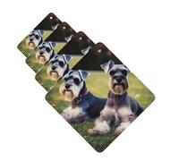 4 ambientadores para coche, para colgar, fragancia, tarjetas aromáticas, cuadradas, tabletas de aromaterapia para adultos, perros Schnauzer, ambientador de coche para el interior del coche, colgante