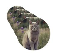 4 ambientadores para coche, tarjetas perfumadas colgantes para SUV, gato gris en campo de flores, tabletas de aromaterapia, espejo interior para dormitorio, armario, zapatero