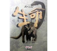 4 Billion Years on Earth 04 [Alemania] [DVD]