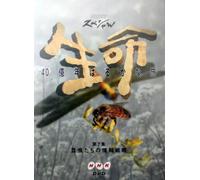 4 Billion Years on Earth 07 [Alemania] [DVD]