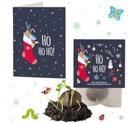4 bombas de semillas de invierno "Ho Ho Ho", incluye tarjeta de felicitación, regalo de Papá Noel, relleno para calendario de Adviento, hecho a mano, fabricado en Alemania, semillas de flores en frío