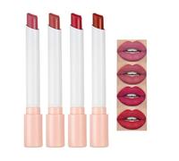 4 Colors Matte Lipstick Velvety Matte Moisturising Lipstick Set, Waterproof Long-Lasting Color-Retention Generic Lipstick, Moisturising with Nourishing Core, Simple Colour Lipsticks (B)