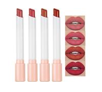4 Colors Matte Lipstick Velvety Matte Moisturising Lipstick Set, Waterproof Long-Lasting Color-Retention Generic Lipstick, Moisturising with Nourishing Core, Simple Colour Lipsticks (C)