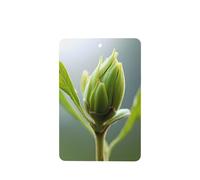 4 difusores de aroma de coche Sprouts rectangulares para colgar en tableta, decoración interior del coche, armario, zapatos, armario, ambientador de fragancia