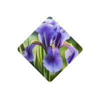 4 difusores de aroma de flores nacionales francesas, cuadrados, para colgar fragancias, tabletas, decoración interior de coche, armario, zapatos, armario, ambientador de fragancia