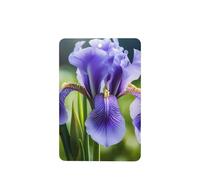 4 difusores de aroma de flores nacionales francesas, rectangulares, para colgar fragancias, tabletas, decoración interior de coche, armario, zapatos, armario, ambientador de fragancia