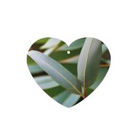 4 difusores de aroma de hoja de eucalipto para coche, en forma de corazón, para colgar en tableta, decoración interior del coche, armario, zapatos, armario, ambientador de fragancia