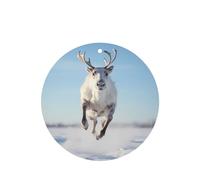 4 difusores de aroma de renos para coche, forma redonda, para colgar fragancia, tableta, decoración interior del coche, armario, zapatos, armario, ambientador de fragancia