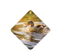 4 difusores de aromas para coche, cuadrados, para colgar, para decoración interior de coche, armario, zapatos, armario, ambientador de fragancia