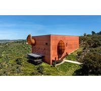 4 entradas al Museo del AOVE visita al olivar con audioguía y cata de aceites