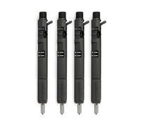 4 inyectores de combustible diésel Delphi EJBR02901D CRDI compatibles con Hyundai Terracan compatibles con Kia Carnival Sedona 2.9 33800-4X800