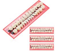 4 Juegos Dientes Falsos de Resina Acrílica Dientes de Reemplazo de Dentadura Postiza Dental Dientes de Terror de Halloween Dientes de Resina Sintética Superior e Inferior de Fiesta, 112 Piezas, 23 A2