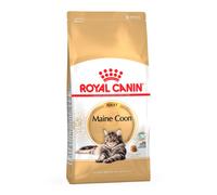 4 kg Royal Canin Adult Maine Coon pienso para gatos