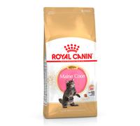 4 kg Royal Canin Kitten Maine Coon pienso para gatos