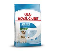 Royal Canin Pienso seco Starter Mother & Babydog Mini – Perra gestante/lactante y cachorro – 4 kg