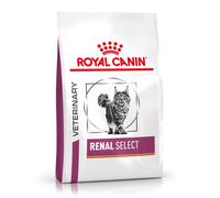 Royal Canin Gato Renal Select 4 Kg