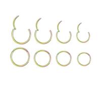 4 pares de anillos de nariz con bisagras de acero quirúrgico de 18 G, para cartílago de hélice, Daith Tragus, piercing para el cuerpo para mujeres, hombres y niñas, 6 mm, 8 mm, 10 mm, 12 mm (18 G, arco iris, 6 mm-12 mm) - 4 pares)