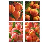 4 Pièces Diamond Painting Enfant Fruit Diamond Painting 65x80cm Peinture Diamant Kit Broderie,DIY 5D Perle Diamant a Coller Débutants Loisirs Créatifs Décoration Salon Murale Maison Cadeau Usine z677f