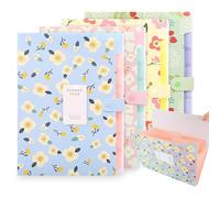 4 Piezas A4 Expansión Carpetas De Archivos, Carpeta Acordeon A4 Con 6 Bolsillos, Carpeta Clasificadora, Portátil Organizador Documentos, Organizador Documentos Plastico, Para Oficina, Escuela, Casa