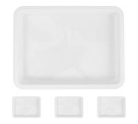 4 Piezas Bandejas Laboratorio Trayectoria Resistente Ácidos y Álcalis para Experimentos Químicos y Uso Educativo