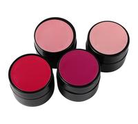 4 Piezas Gel de Decoración de Uñas Metalizado Japonés | Secado Rápido, Aplicación Sencilla, Ingredientes Saludables, Uso Profesional en Casa, Tonos C07 C08 C09 C10