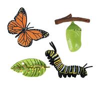 ＡＷＨＡＯ 4 Piezas Modelos Evolutivos Animales Acción Juguete Educativo Material Plástico sin Componentes Tóxicos Adecuado para Aula Juegos