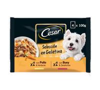 Cesar húmedo perro multipack selección en gelatina 4x100 gr