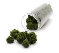 40 arbustos en miniatura - Grupos de vegetación realistas para paisaje de tren modelo, para diseños de ferrocarril, terreno de juegos de guerra y mesa de arena modelos militares