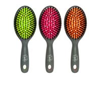 BETER Bright Day Cepillo Neumático // Precio, Comprar n/a 1 Unidad (Colores Aleatorios)