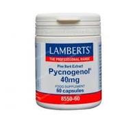 40 mg (Extracto de Corteza de Pino Marítimo Francés) - Pack de 2 Unidades (120 Cápsulas en Total), Formato Ahorro para el Cuidado Vascular y la Protección Celular