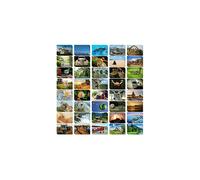 40 Pack Bulk Animal and Travel Postcards From Around the World for Mailing, Assorted Nature Thank You Notes (10 x 15 cm)