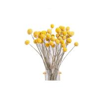 40 Pcs Dried Craspedia Flowers - Decorative Dried Button Balls for Floral Arrangements & Home Decor