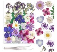 40 Piezas Flores Prensadas Naturales, Flores Secas para Manualidades de Resina, Velas, Jabones, Joyería y Scrapbooking (Morado)