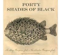 40 Shades of Black - Belisha [Vinilo]